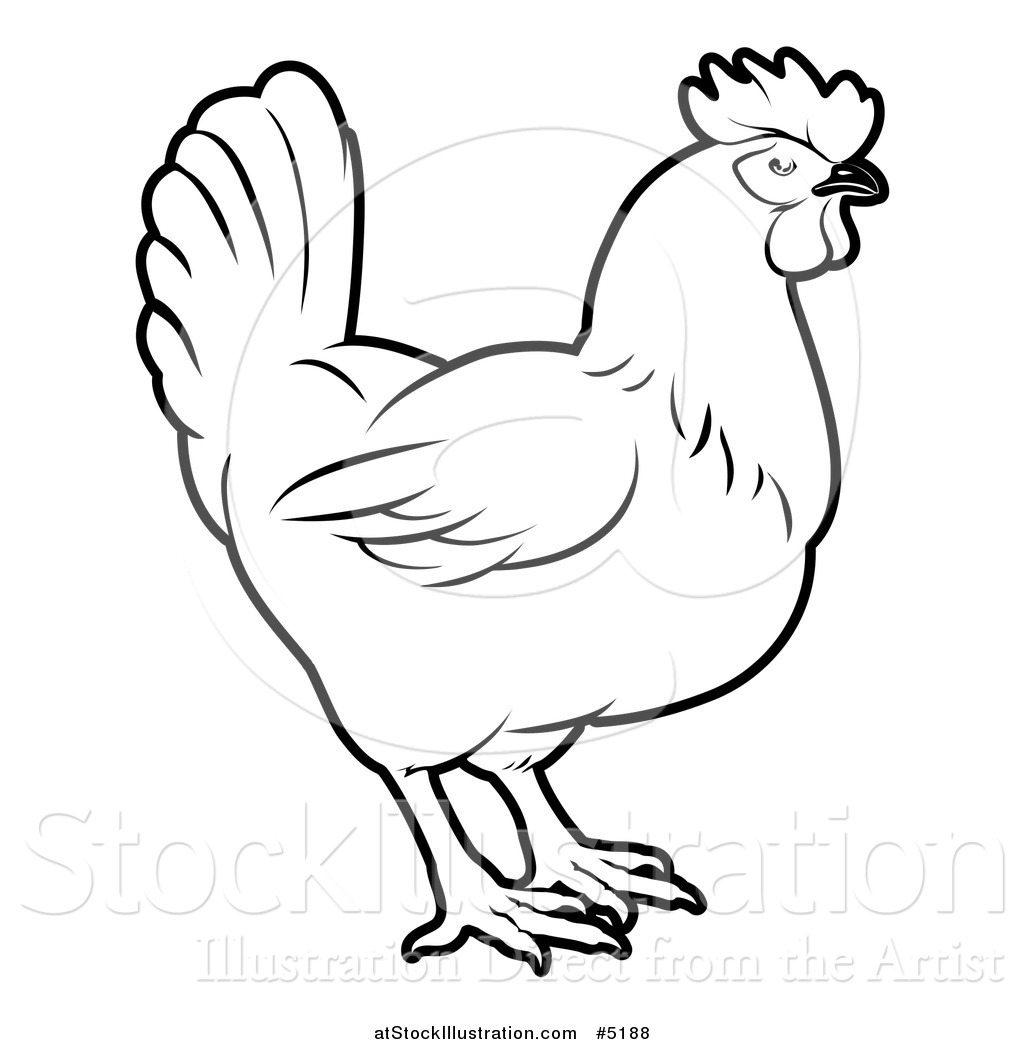 free chicken clipart black and white - photo #38