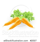 Vector Illustration of 3d Fresh Orange Carrots by AtStockIllustration