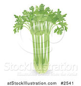 Vector Illustration of a 3d Bunch of Celery by AtStockIllustration