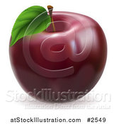 Vector Illustration of a 3d Dark Red Delicious Apple by AtStockIllustration