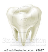 Vector Illustration of a 3d Sparkling White Wisdom or Molar Tooth by AtStockIllustration