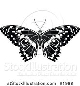 Vector Illustration of a Black and White Butterfly by AtStockIllustration