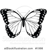 Vector Illustration of a Black and White Butterfly by AtStockIllustration