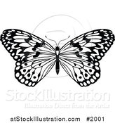 Vector Illustration of a Black and White Butterfly by AtStockIllustration