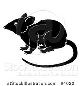 Vector Illustration of a Black and White Chinese Zodiac Rat in Profile by AtStockIllustration