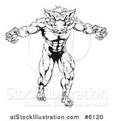 Vector Illustration of a Black and White Muscular Aggressive Boar Man Mascot Attacking by AtStockIllustration