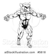 Vector Illustration of a Black and White Muscular Raccoon Mascot Standing Upright by AtStockIllustration