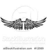 Vector Illustration of a Black and White Pair of Feathered Wings by AtStockIllustration