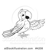 Vector Illustration of a Black and White Presenting Parrot by AtStockIllustration