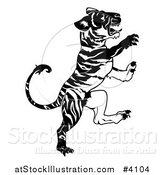 Vector Illustration of a Black and White Rearing Chinese Zodiac Tiger by AtStockIllustration