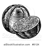 Vector Illustration of a Black and White Retro Engraved or Woodcut Whole and Halved Navel Oranges by AtStockIllustration