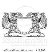 Vector Illustration of a Black and White Shield with Dragons by AtStockIllustration