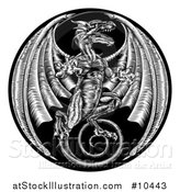 Vector Illustration of a Black and White Woodcut Dragon in a Circle by AtStockIllustration