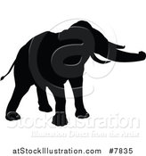 Vector Illustration of a Black Silhouetted Elephant by AtStockIllustration