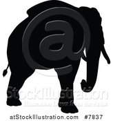 Vector Illustration of a Black Silhouetted Elephant by AtStockIllustration