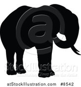 Vector Illustration of a Black Silhouetted Elephant by AtStockIllustration