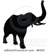 Vector Illustration of a Black Silhouetted Elephant by AtStockIllustration