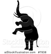 Vector Illustration of a Black Silhouetted Elephant Rearing by AtStockIllustration