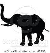 Vector Illustration of a Black Silhouetted Elephant Walking by AtStockIllustration