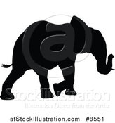 Vector Illustration of a Black Silhouetted Elephant Walking by AtStockIllustration