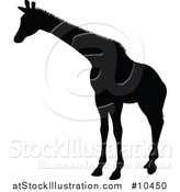 Vector Illustration of a Black Silhouetted Giraffe by AtStockIllustration