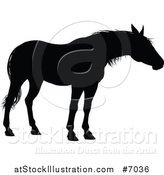 Vector Illustration of a Black Silhouetted Horse by AtStockIllustration