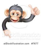 Vector Illustration of a Cartoon Black and Tan Happy Baby Chimpanzee Monkey Giving a Thumb up and Pointing down over a Sign by AtStockIllustration