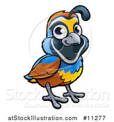 Vector Illustration of a Cartoon California Quail Bird by AtStockIllustration