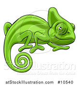 Vector Illustration of a Cartoon Happy Green Chameleon Lizard by AtStockIllustration