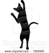 Vector Illustration of a Cat Silhouette by AtStockIllustration