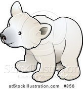 Vector Illustration of a Curious White Arctic Polar Bear Cub (Ursus Maritimus) by AtStockIllustration