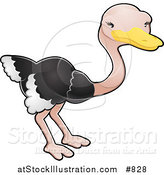 Vector Illustration of a Cute Ostrich Bird with Black and White Feathers by AtStockIllustration