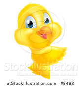 Vector Illustration of a Cute Yellow Easter Chick Pointing Around a Sign by AtStockIllustration