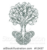 Vector Illustration of a Dark Green Tree with Entwined Roots by AtStockIllustration