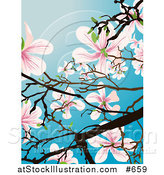 Vector Illustration of a Flowering Magnolia Tree over Blue by AtStockIllustration