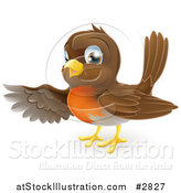 Vector Illustration of a Friendly Robin Bird Presenting or Pointing with His Wing by AtStockIllustration