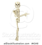 Vector Illustration of a Full Length Happy Human Skeleton Pointing to a Sign by AtStockIllustration