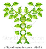 Vector Illustration of a Gradient Green Plant Forming a Dna Caduceus by AtStockIllustration