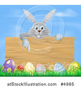 Vector Illustration of a Gray Bunny Pointing down to a Wood Sign with Grass and Easter Eggs by AtStockIllustration