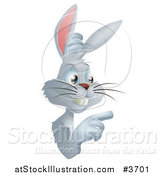 Vector Illustration of a Gray Bunny Pointing to a Sign by AtStockIllustration