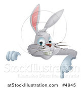 Vector Illustration of a Gray Bunny Rabbit Pointing down over a Sign by AtStockIllustration