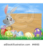 Vector Illustration of a Gray Bunny Rabbit with a Basket and Easter Eggs by a Wooden Sign Under a Blue Sky by AtStockIllustration