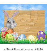 Vector Illustration of a Gray Easter Bunny Rabbit with Eggs and a Basket, in Front of Blank Wood Sign Against Sky by AtStockIllustration