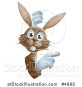 Vector Illustration of a Happy Brown Bunny Rabbit Looking Around and Pointing at a Sign by AtStockIllustration