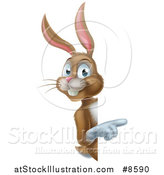 Vector Illustration of a Happy Brown Bunny Rabbit Pointing Around a Sign by AtStockIllustration