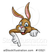 Vector Illustration of a Happy Brown Bunny Rabbit Pointing down over a Sign by AtStockIllustration