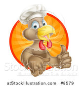 Vector Illustration of a Happy Brown Chef Chicken Giving a Thumb up and Emerging from a Circle of Sun Rays by AtStockIllustration