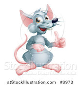 Vector Illustration of a Happy Gray Rat Mascot Holding a Thumb up by AtStockIllustration