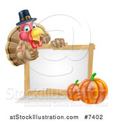 Vector Illustration of a Happy Thanksgiving Pilgrim Turkey Bird Giving a Thumb up over a Blank White Board Sign with Pumpkins by AtStockIllustration