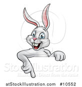 Vector Illustration of a Happy White Easter Bunny Rabbit Pointing down over a Sign by AtStockIllustration